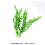 揭秘秘密教学228:提升学习效率的独特方法 05f6esdp0k