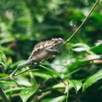 无人区电影未删减版:探秘荒野中的生存挑战与人性考验 3qecf