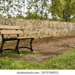 揭秘猫咪会员账号共享的实用方法与技巧 67exhht