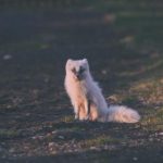 斗罗玉转1—37免费漫画更新动态与时间解析 ffzauma0zx